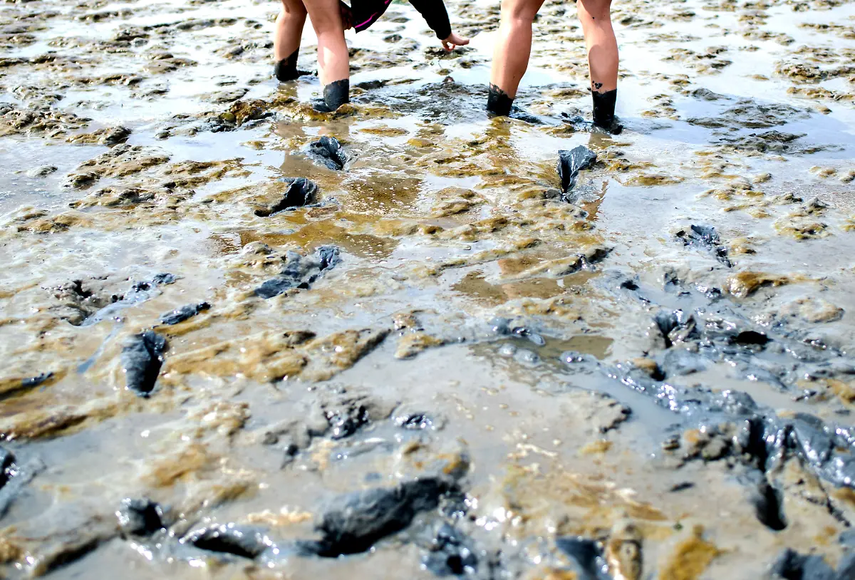 8a819d5c5585d5509e8ad01fe4ae12b3