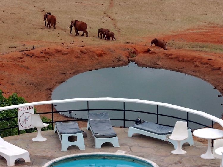 Blick auf Elefanten an einem Wasserloch vom Pool der Voi Safari Lodge im Tsavo-Nationlapark in Kenia.