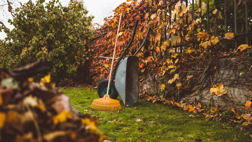 Laub-haken-ist-zwar-muehselig-aber-notwendig