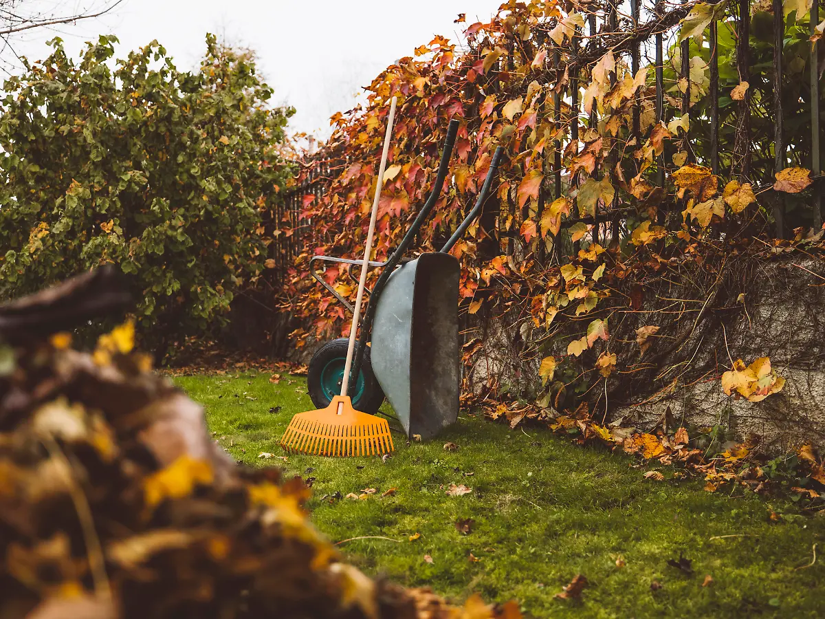 Garten winterfest machen: Gartenarbeit im Herbst: Warum die Reihenfolge zählt