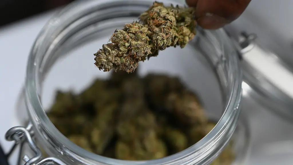 Die-Polizei-findet-zufaellig-eine-Marihuana-Anbauanlage-in-Bad-Oldesloe