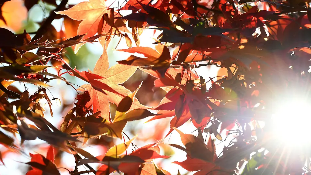 Morgens-kalt-tagsueber-Sonnenschein-so-praesentiert-sich-aktuell-das-Wetter