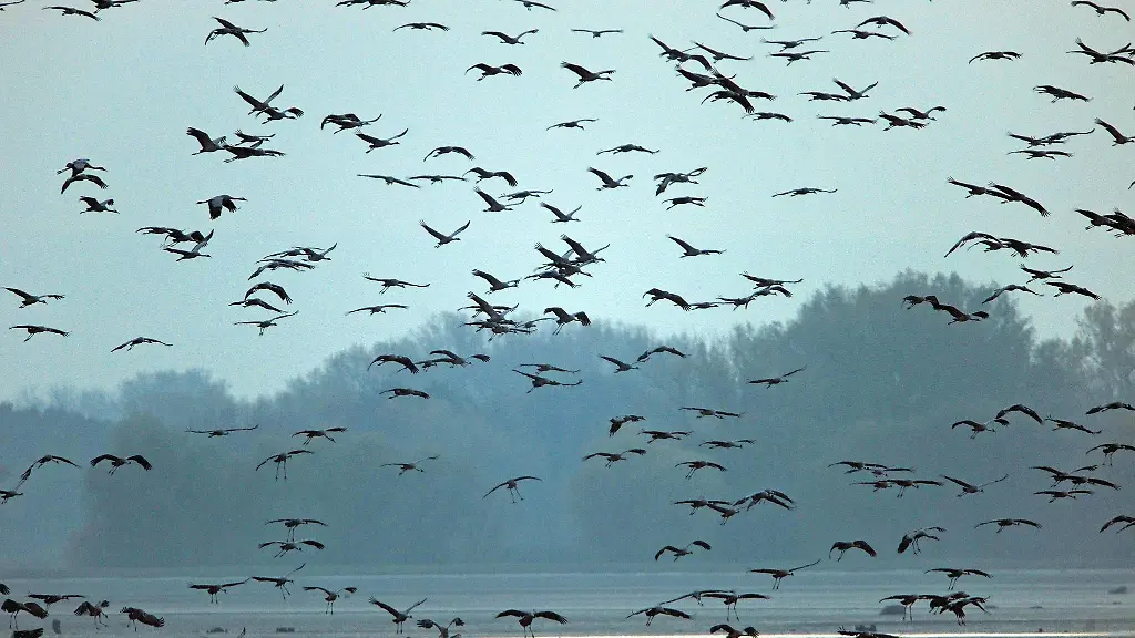 Vor-Ort-gibt-der-NABU-Thueringen-den-Teilnehmenden-Tipps
