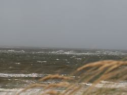 "Kein Ersatz für Klimaschutz": Bundestag erlaubt CO2-Speicherung unter dem Meer