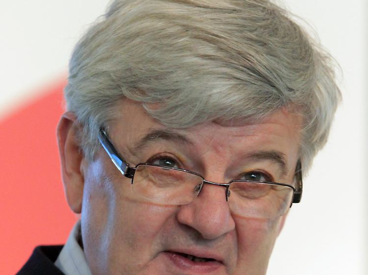Joschka Fischer hatte die Untersuchung veranlasst.