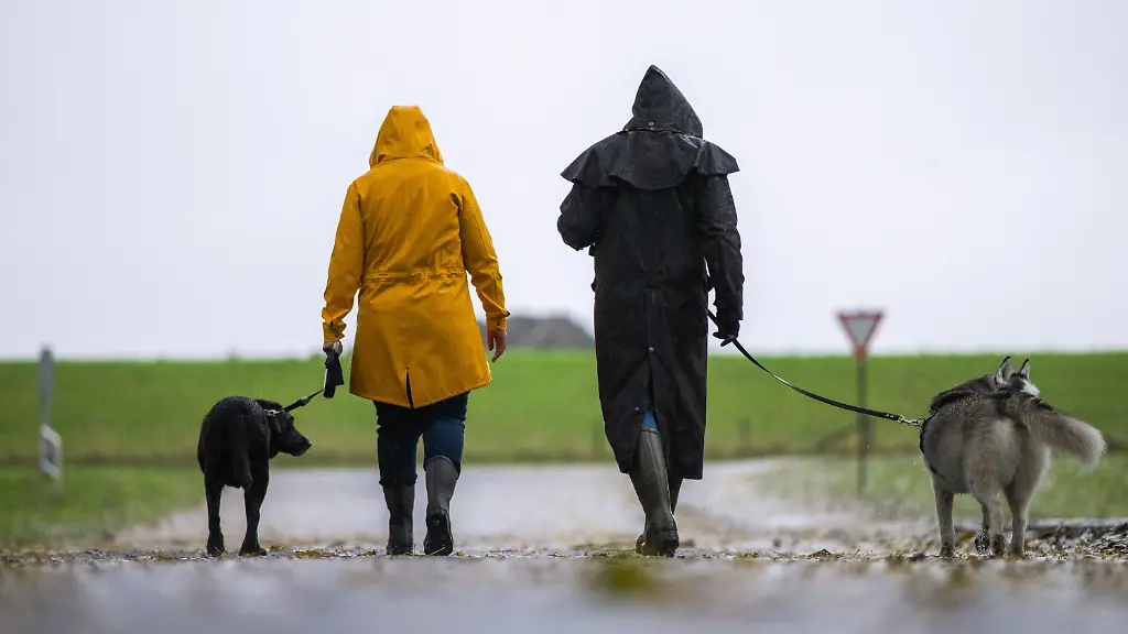 dbb1793703590da29efd02cc81e5ed6e