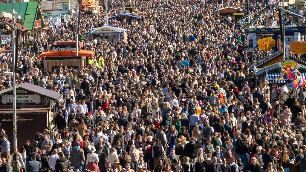 1635bb8dd352e760be67c4296e71e615