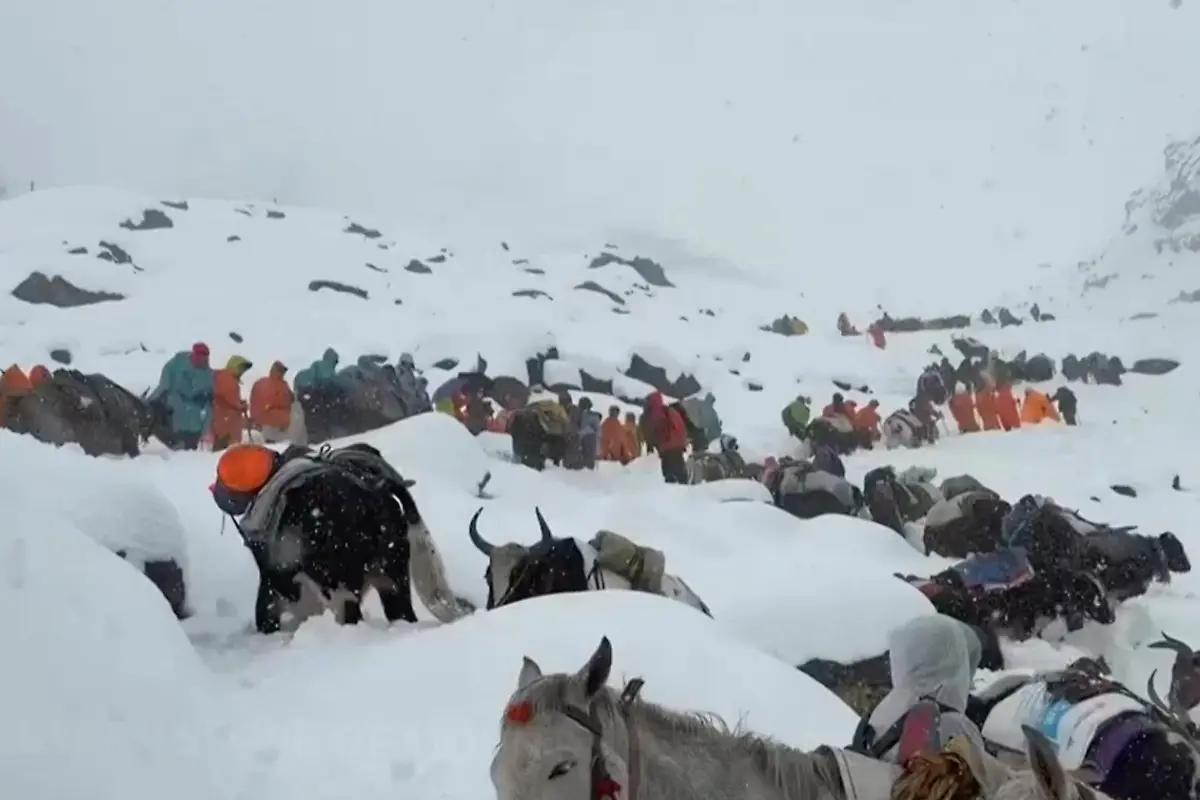 fc5141d1186dea06beb8f3b3e6f0d8f3