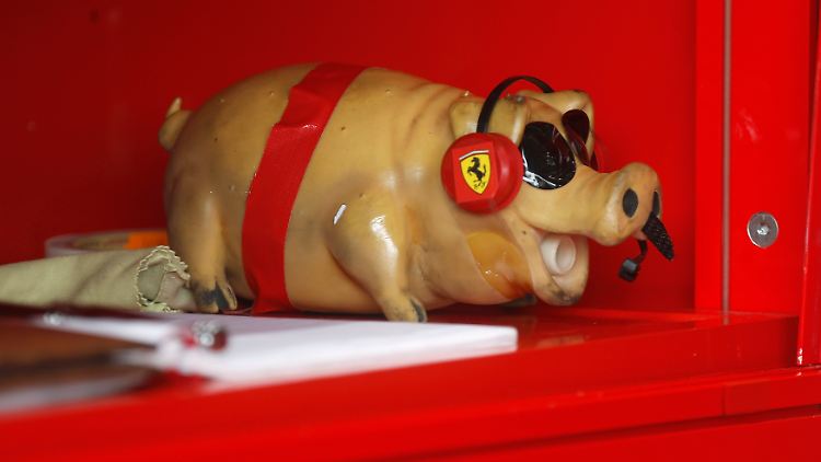 Ob es am Glücksschwein lag? Fernando Alonso sicherte sich in Hockenheim auf jeden Fall den besten Startplatz.