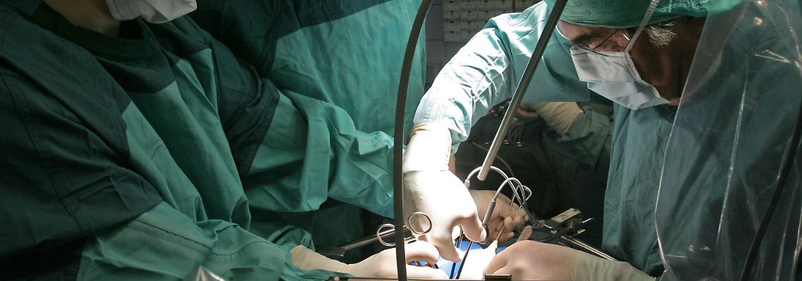 In einer Operation wird eine Spenderniere transplantiert.