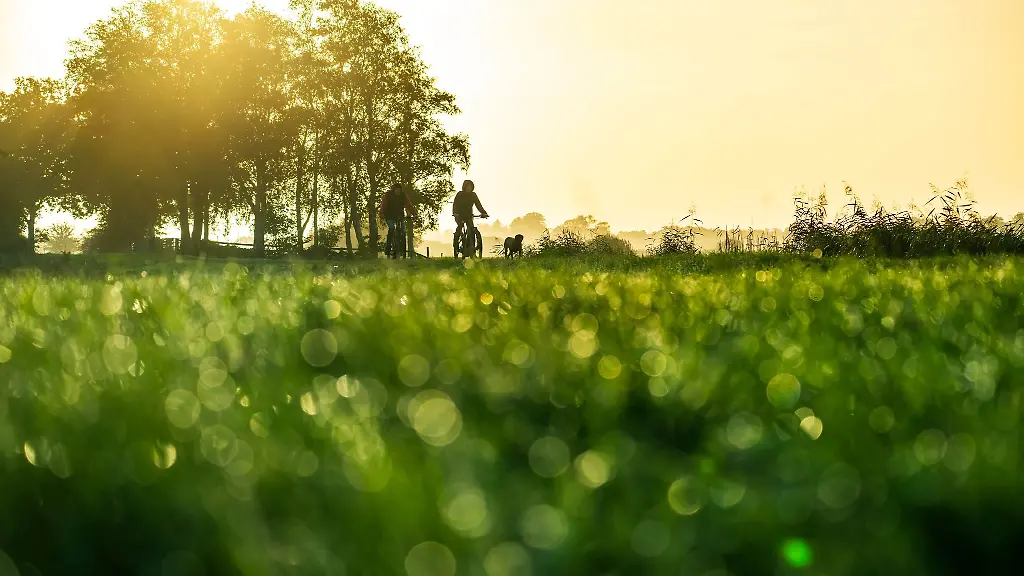 Mildes-Herbstwetter-prognostiziert-der-DWD-fuer-die-kommenden-Tage-die-Sonne-bleibt-aber-rar