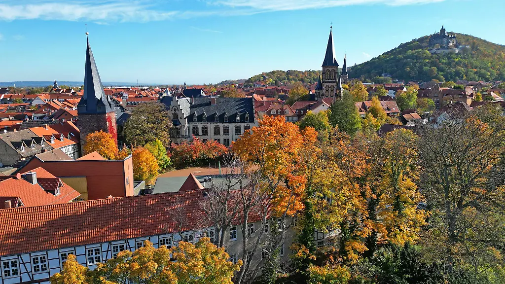 Besonders-in-groesseren-Staedten-haben-Urlauber-in-Sachsen-Anhalt-schon-viel-gebucht