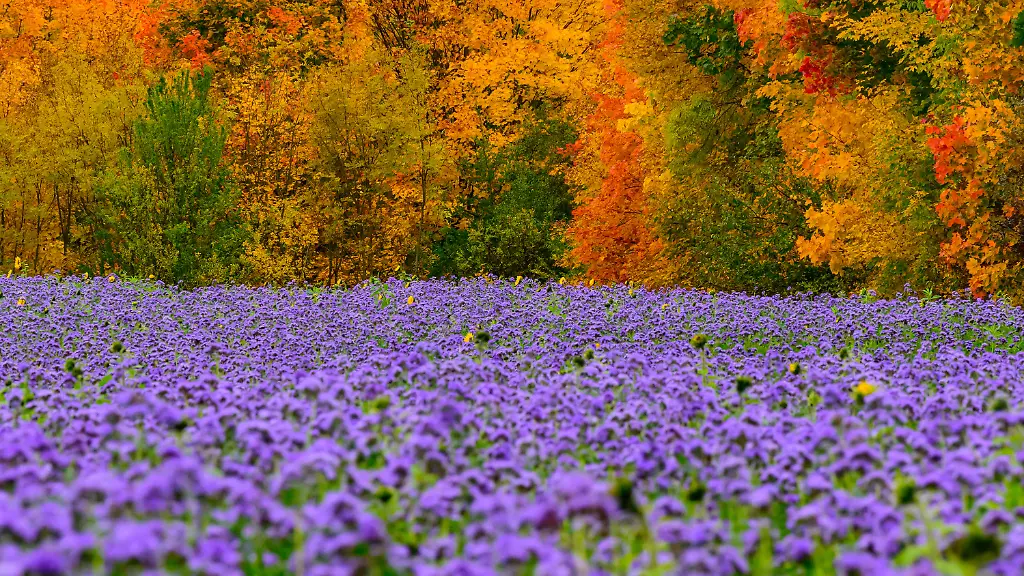 2d7b5bde6637bcfad996ae701da07a48