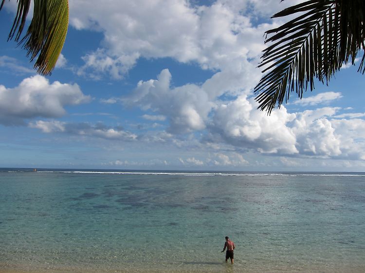 Warum sich vor der Küste der Insel die Haiangriffe häufen, können die Behörden auch nicht erklären.