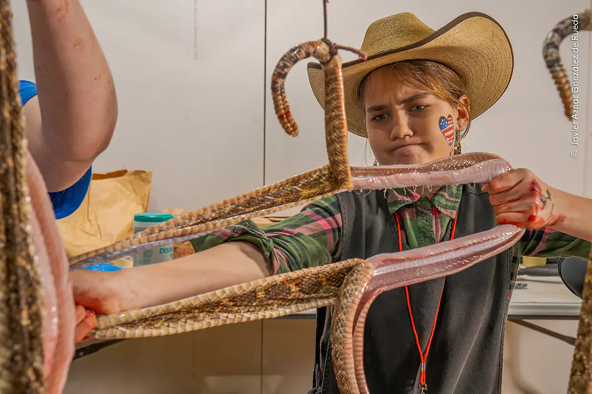 Javier-Aznar-Gonzalez-de-Rueda-courtesy-Wildlife-Photographer-of-the-Year-2