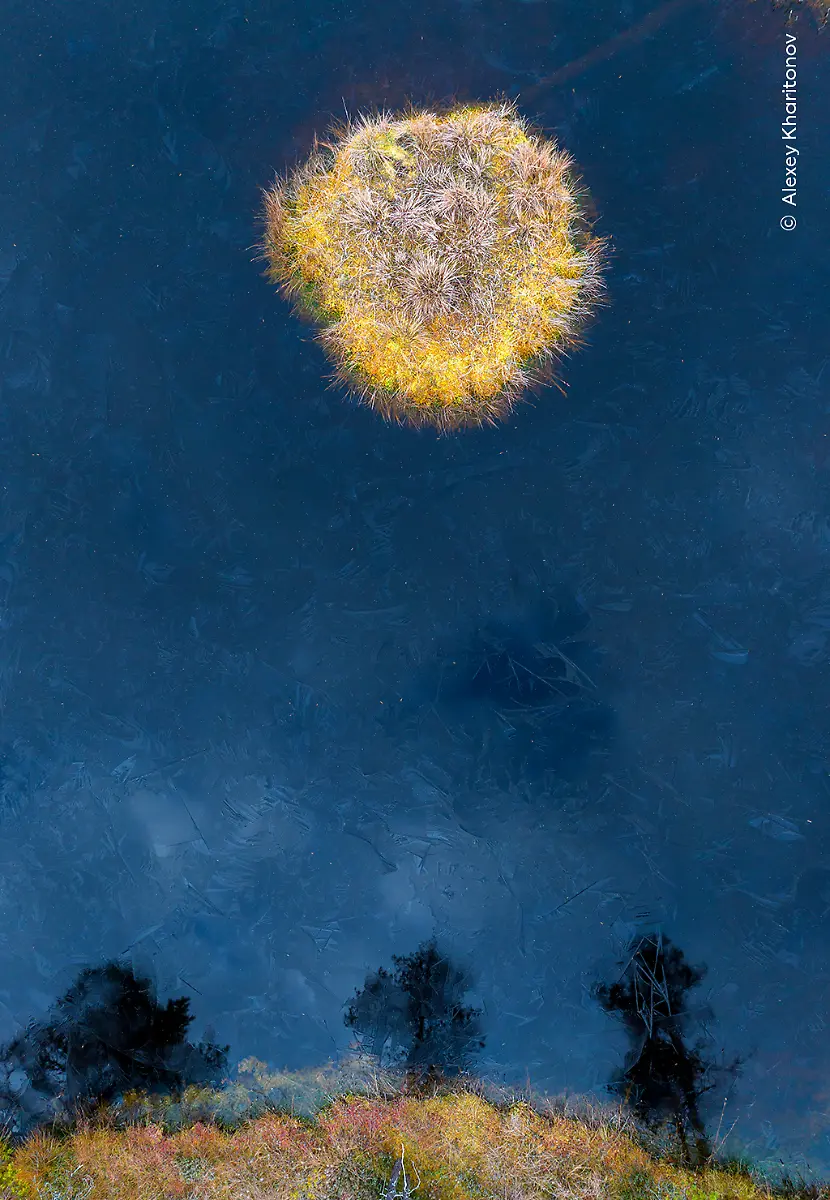 Alexey-Kharitonov-courtesy-Wildlife-Photographer-of-the-Year-1