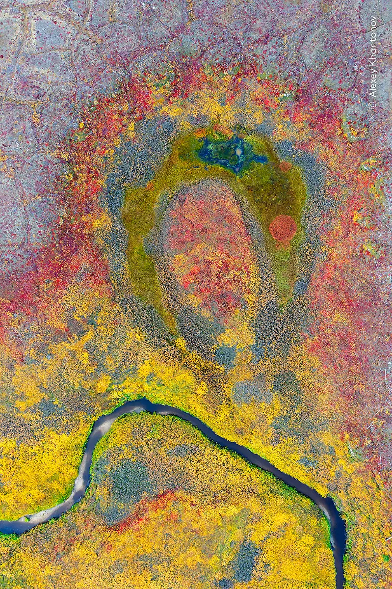 Alexey-Kharitonov-courtesy-Wildlife-Photographer-of-the-Year-4