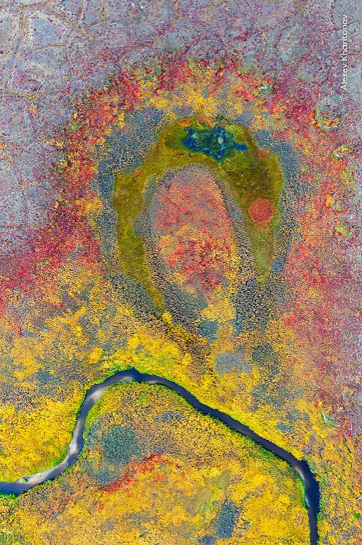 Alexey-Kharitonov-courtesy-Wildlife-Photographer-of-the-Year-4