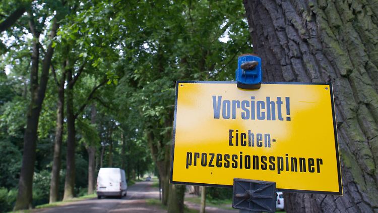Die Beseitigung ist teuer, vielerorts bleibt es deshalb bei Warnschildern.