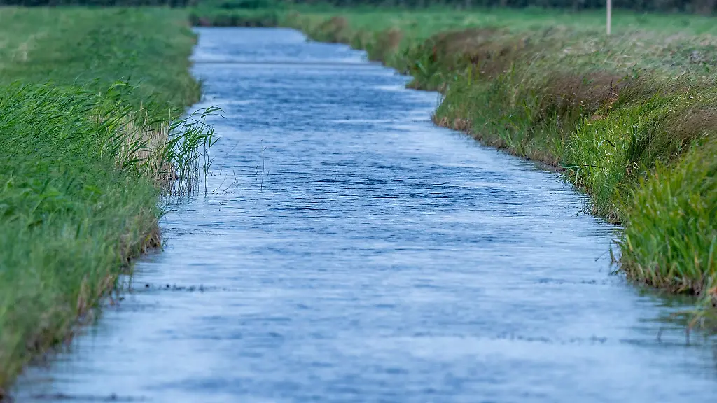 Suedlich-von-Malchow-soll-in-den-naechsten-30-Jahren-die-zwoelf-Hektar-grosse-Wiese-Forstwisch-ein-trockengelegtes-Moor-wieder-vernaesst-werden