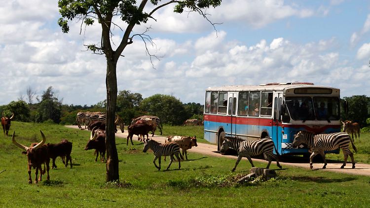 Ein Bus mit Besuchern im Zoo National Park in Boyeros in der Nähe von Havanna. 