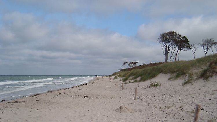Windflüchter zeigen deutlich, von wo der Wind am häufigsten weht.
