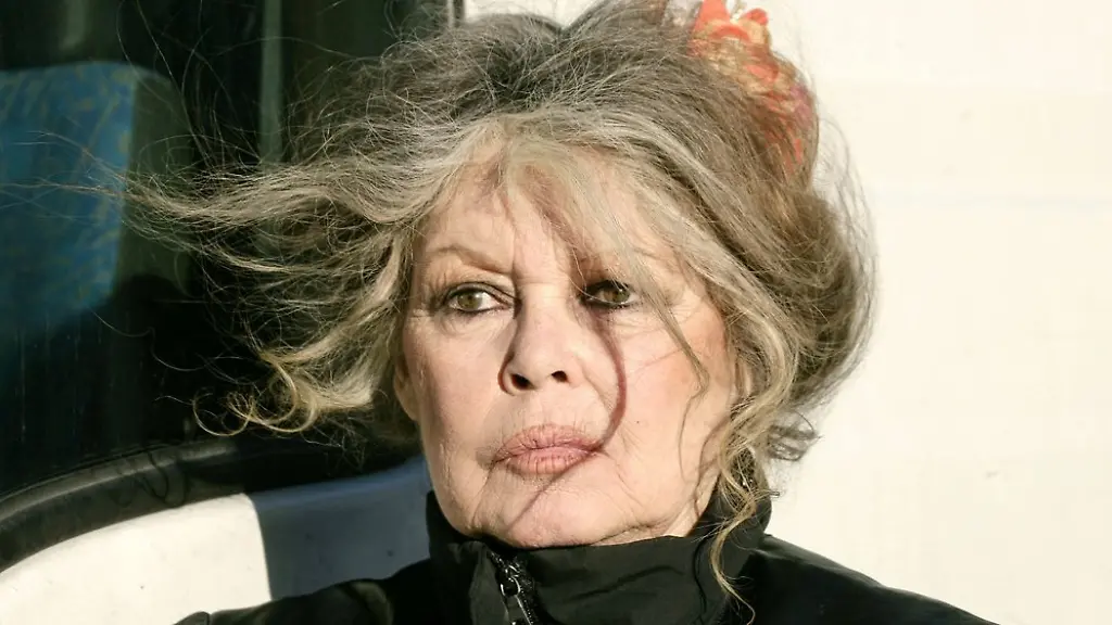 Brigitte-Bardot-soll-im-Krankenhaus-behandelt-werden