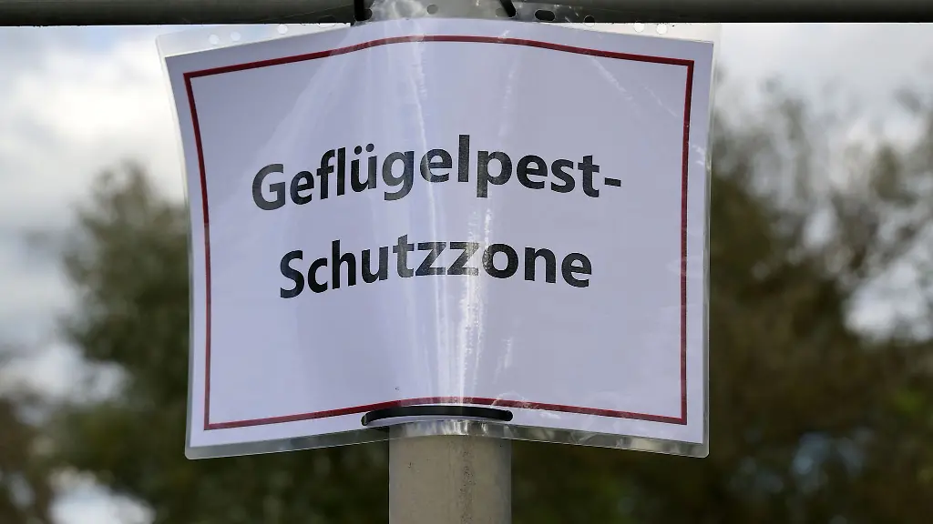 Gefluegelhalter-muessen-nach-dem-Auftreten-eines-weiteren-Falls-von-Gefluegelpest-weiter-mit-Einschraenkungen-leben