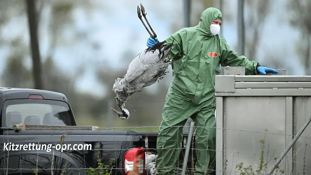 79417c881dca7671c9502154c222973f