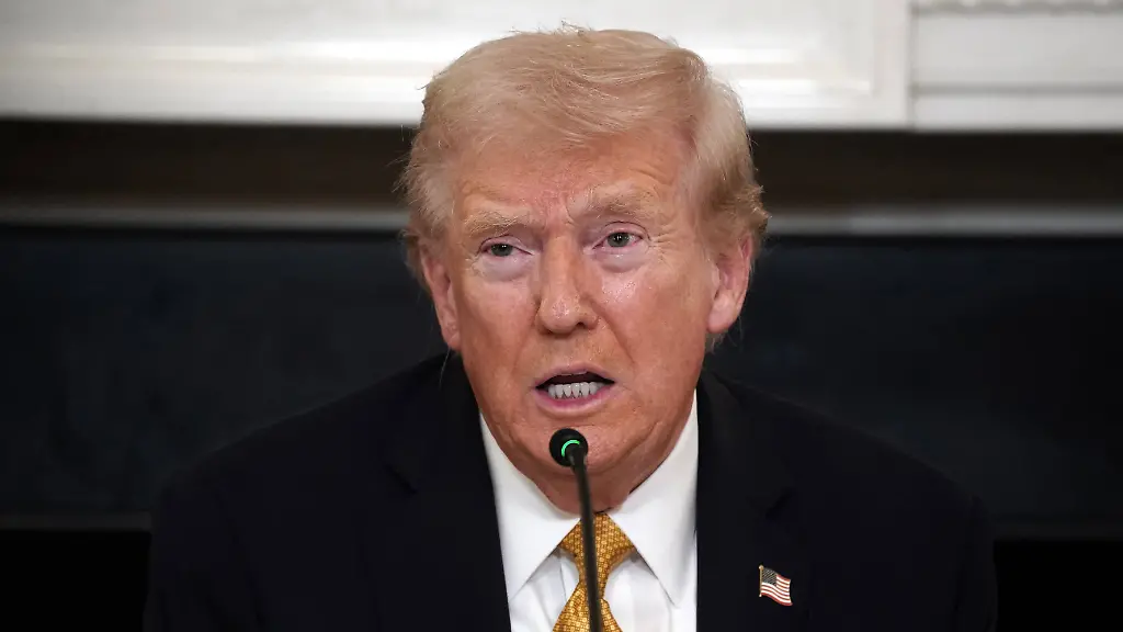 56c310dd2392dc113549c9891ddae356