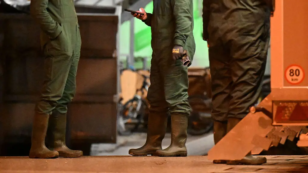 Gefluegelhalter-in-Baden-Wuerttemberg-sind-angesichts-des-Ausbruchs-der-Vogelgrippe-stark-verunsichert