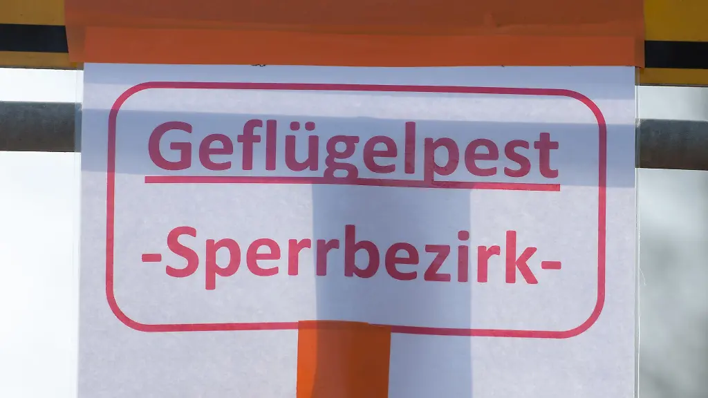 Auch-bayerische-Behoerden-warnen-vor-der-Vogelgrippe