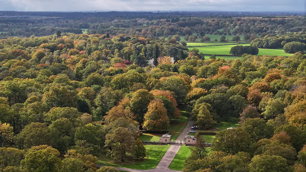 2025-10-21T151942Z-647615921-RC2EGHAXEE0Q-RTRMADP-3-BRITAIN-ROYALS-ANDREW