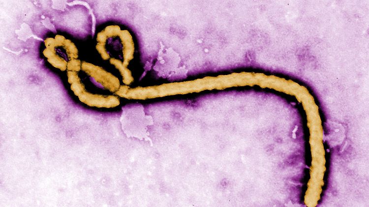 Gegen Ebola gibt es keine Impfung.