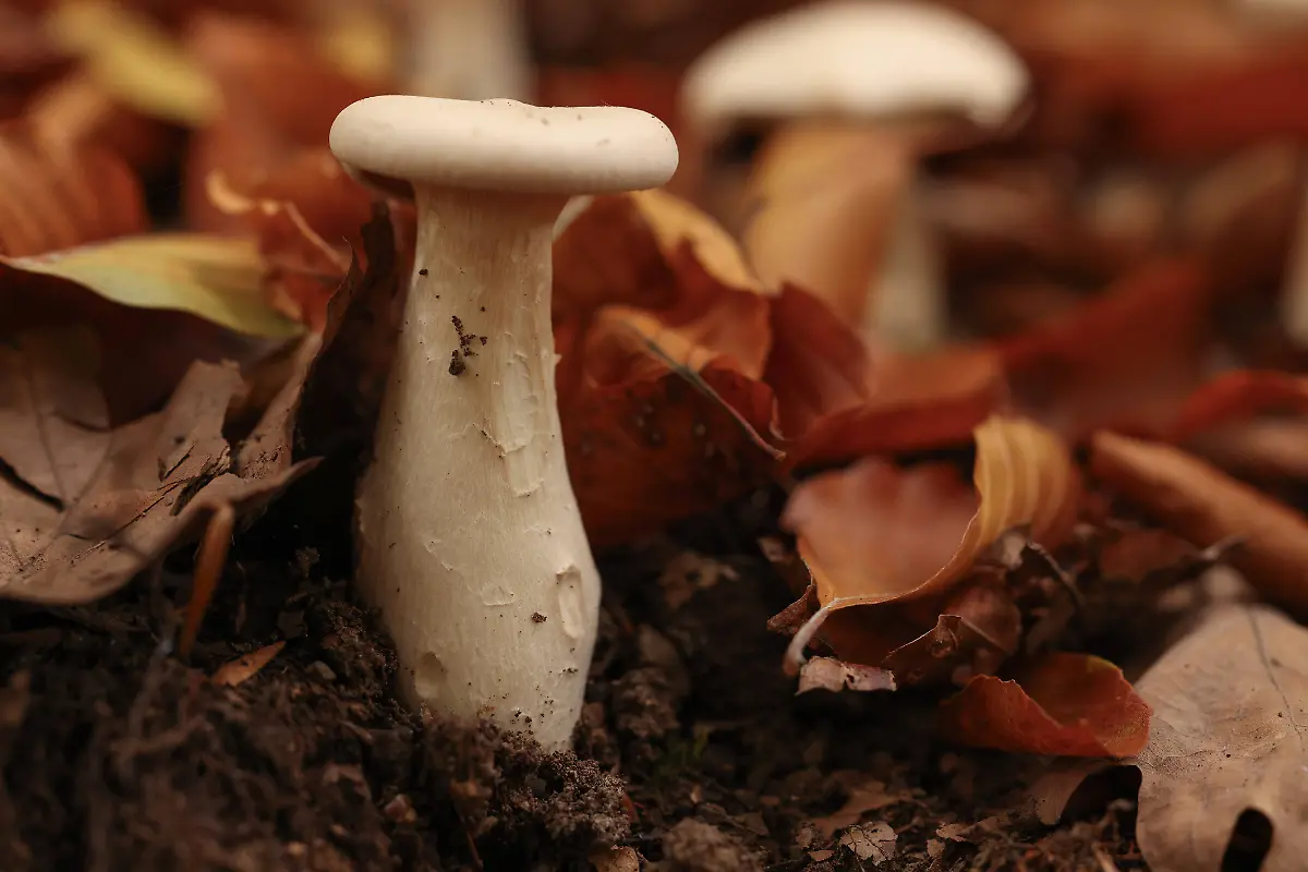 f67e77bcf6fe1c379178d89186c2e9c7