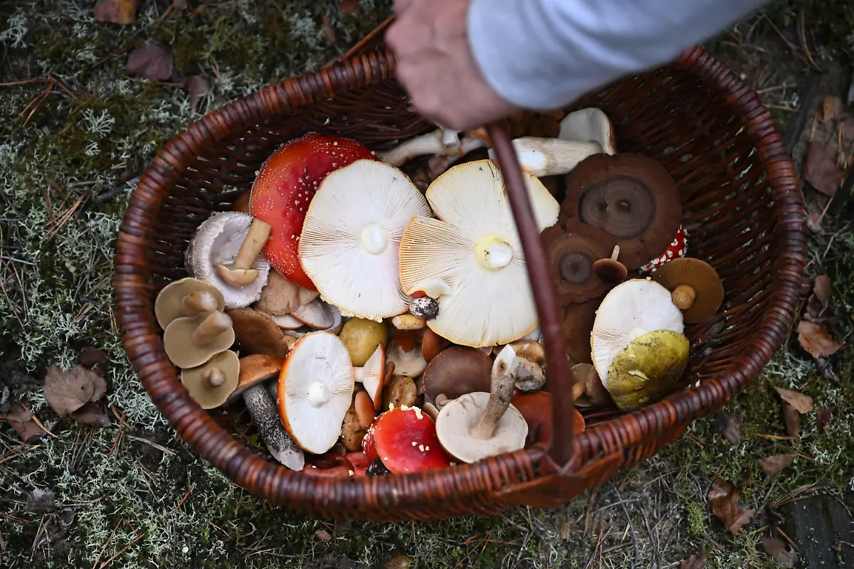 0114232d8ecedad63152030869e52d20