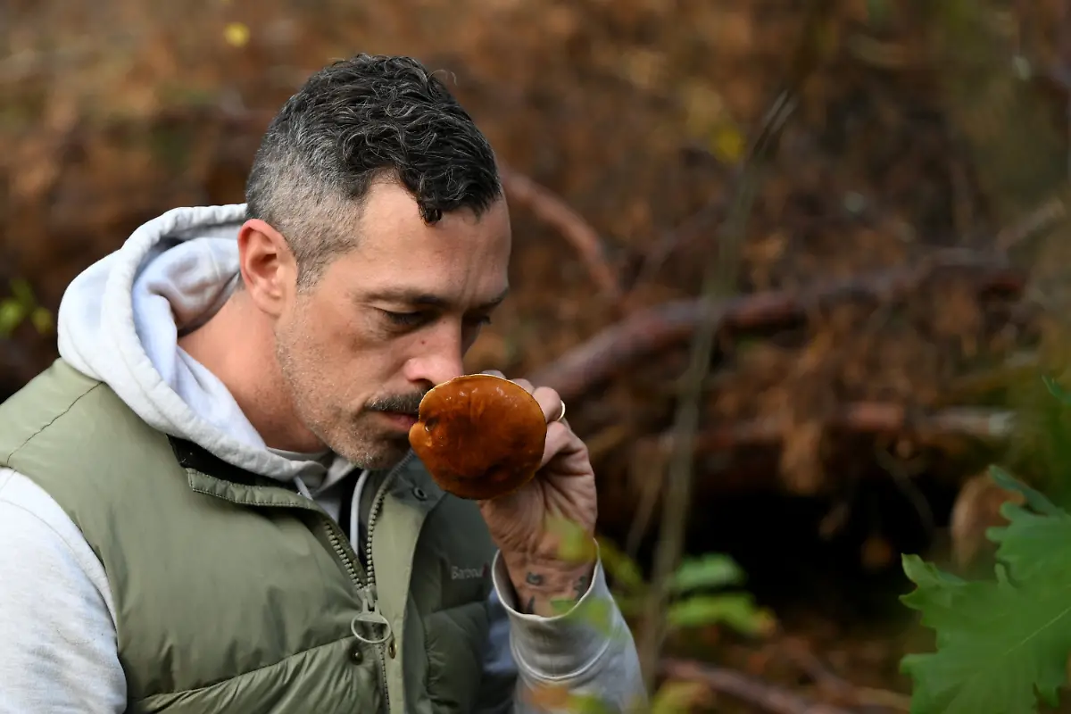 a199bc533bda419be0396142afbef151