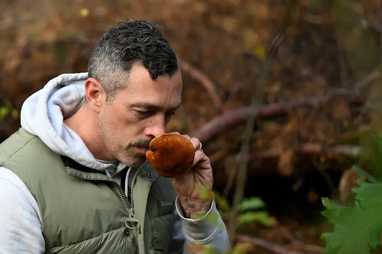 a199bc533bda419be0396142afbef151