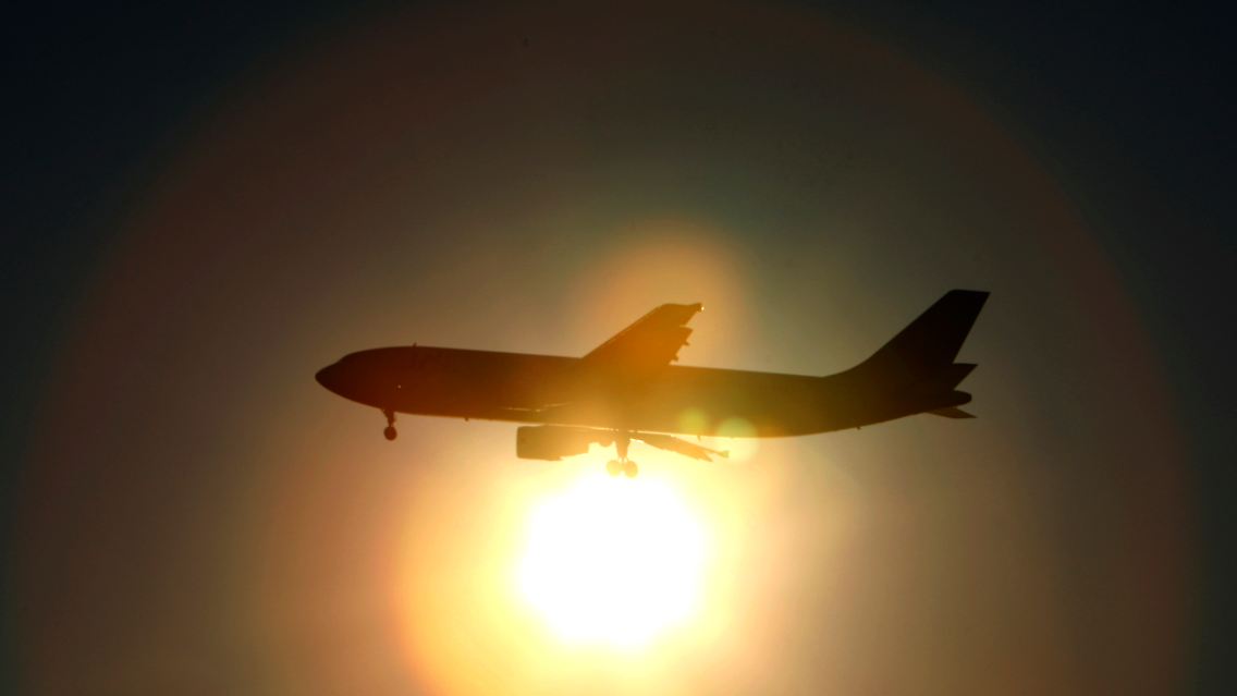 JAL4.jpg