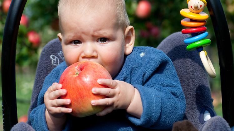 Äpfel sind gesund - auch für die Verdauung.