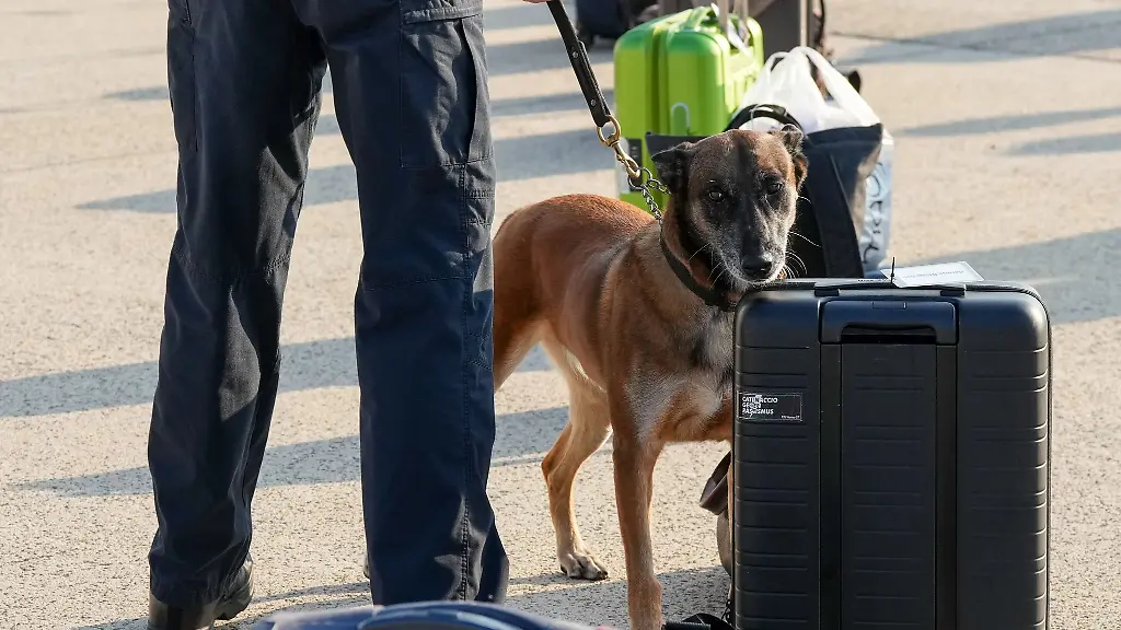 Das-Gepaeck-des-Mannes-wurde-nach-seinen-Aussagen-genau-unter-die-Lupe-genommen