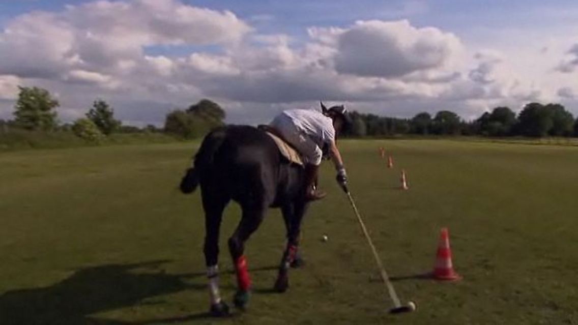 polo.JPG