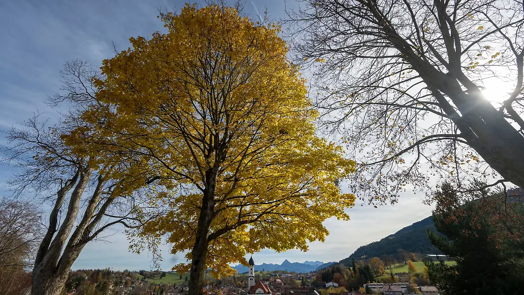 In-Bayern-bringt-das-Wetter-ordentlich-Nebel-und-ein-wenig-Sonne-mit