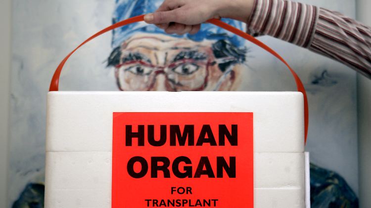 "Human Organ - For Transplant" - überall auf der Welt wird für Organtransplantationen geworben. Denn es gibt viel zu wenig Spender.