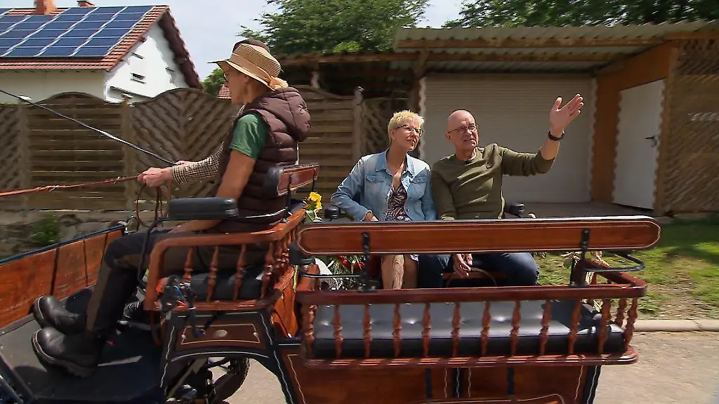 Pferde-Experte-Herbert-und-seine-Carola-geniessen-die-erste-gemeinsame-Kutschfahrt