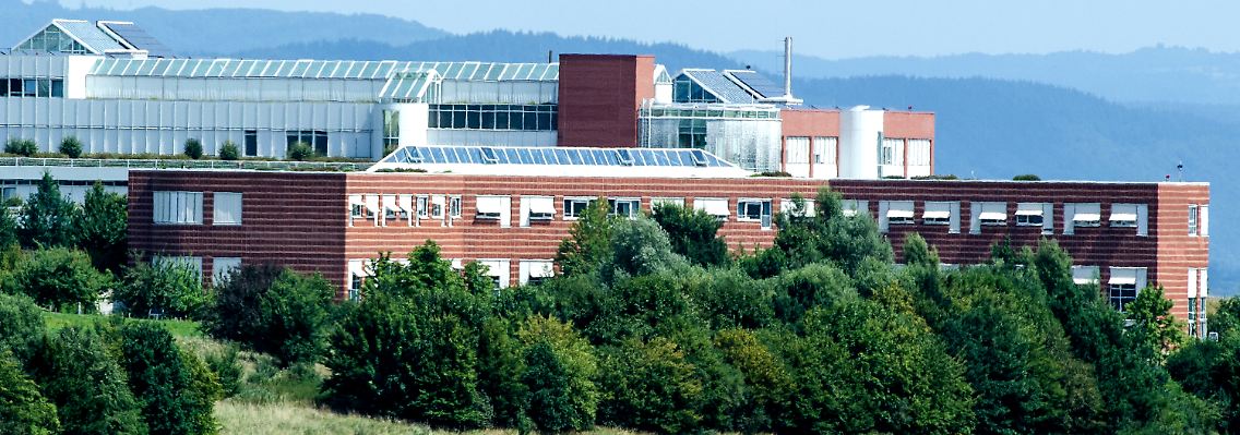 Die Zahlen aus dem Uniklinikum Regensburg legen nahe, dass auch nach dem Weggang des Oberarztes Patientendaten manipuliert wurden.