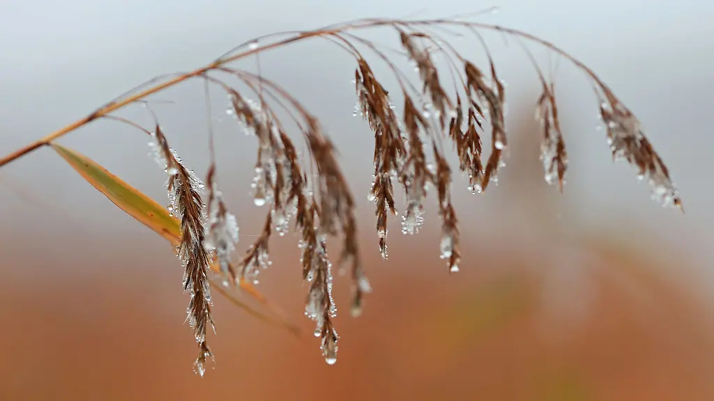 Am-Montag-und-Dienstag-ist-es-meist-stark-bewoelkt-auch-Nieselregen-ist-oertlich-moeglich-wie-es-hiess