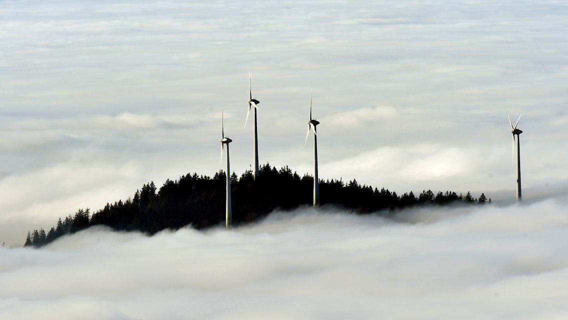 "Sie schlafen beim Thema Klimawandel."