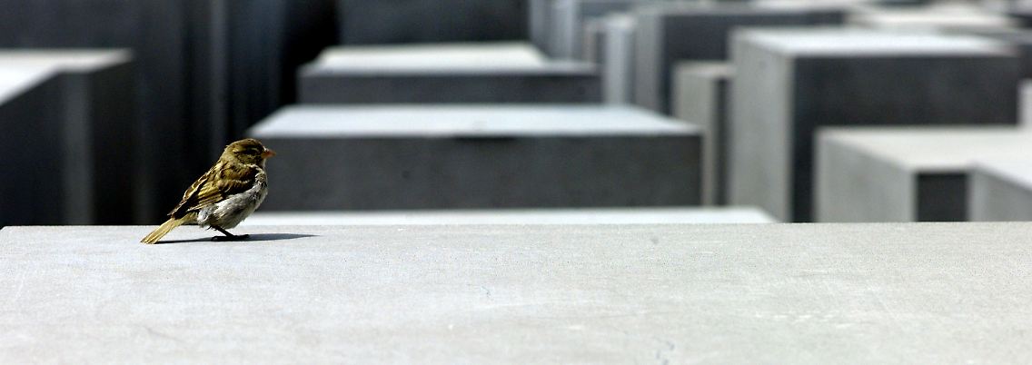 Das Holocaust-Mahnmal in Berlin erinnert an die von den Nationalsozialisten ermordeten Juden in Europa.