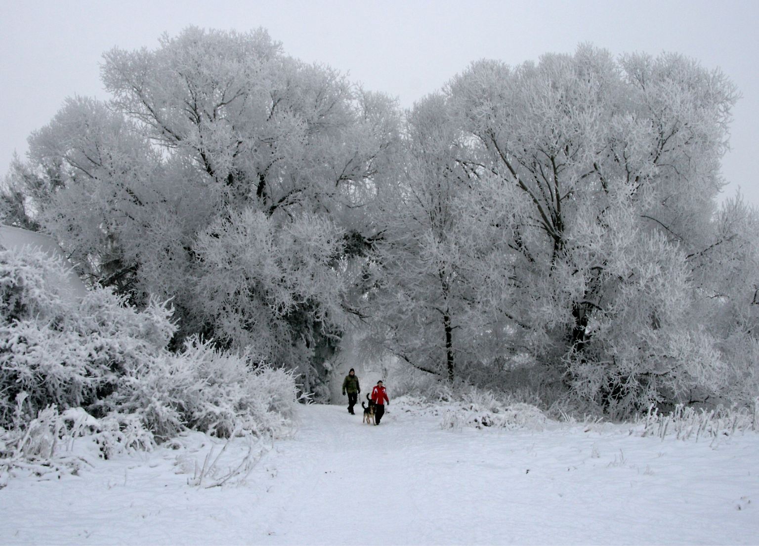Winterlandschaften mit Schnee und Eis sind schön anzuschauen ...